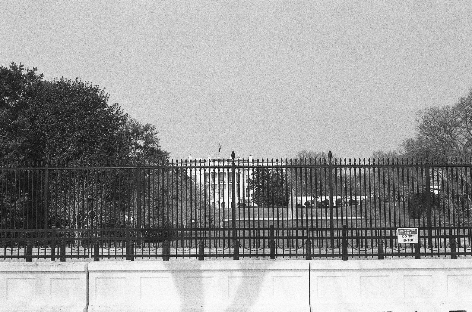 Washington DC Photo 15