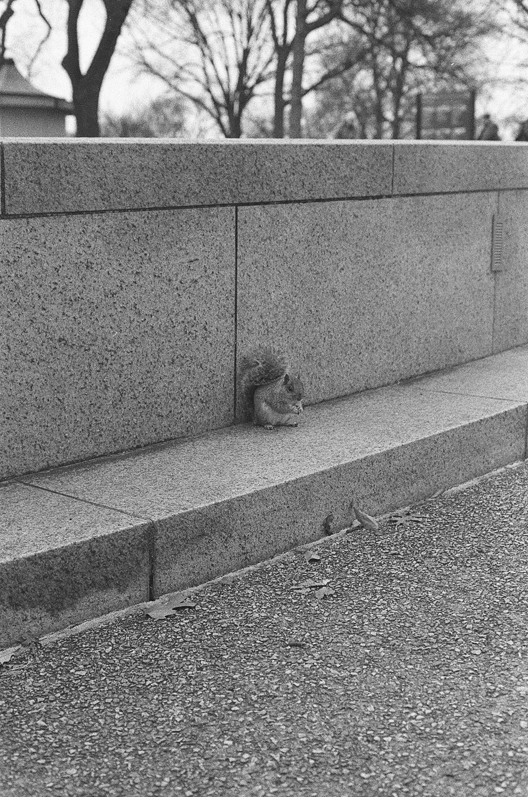 Washington DC Photo 17