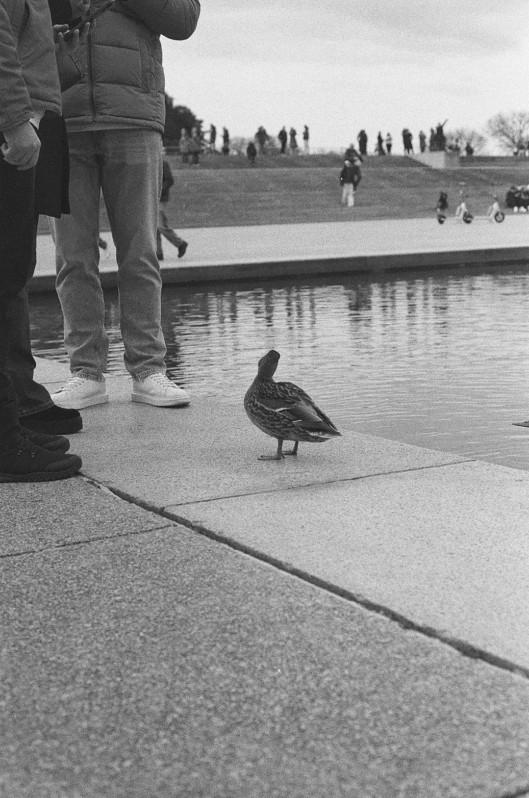 Washington DC Photo 18