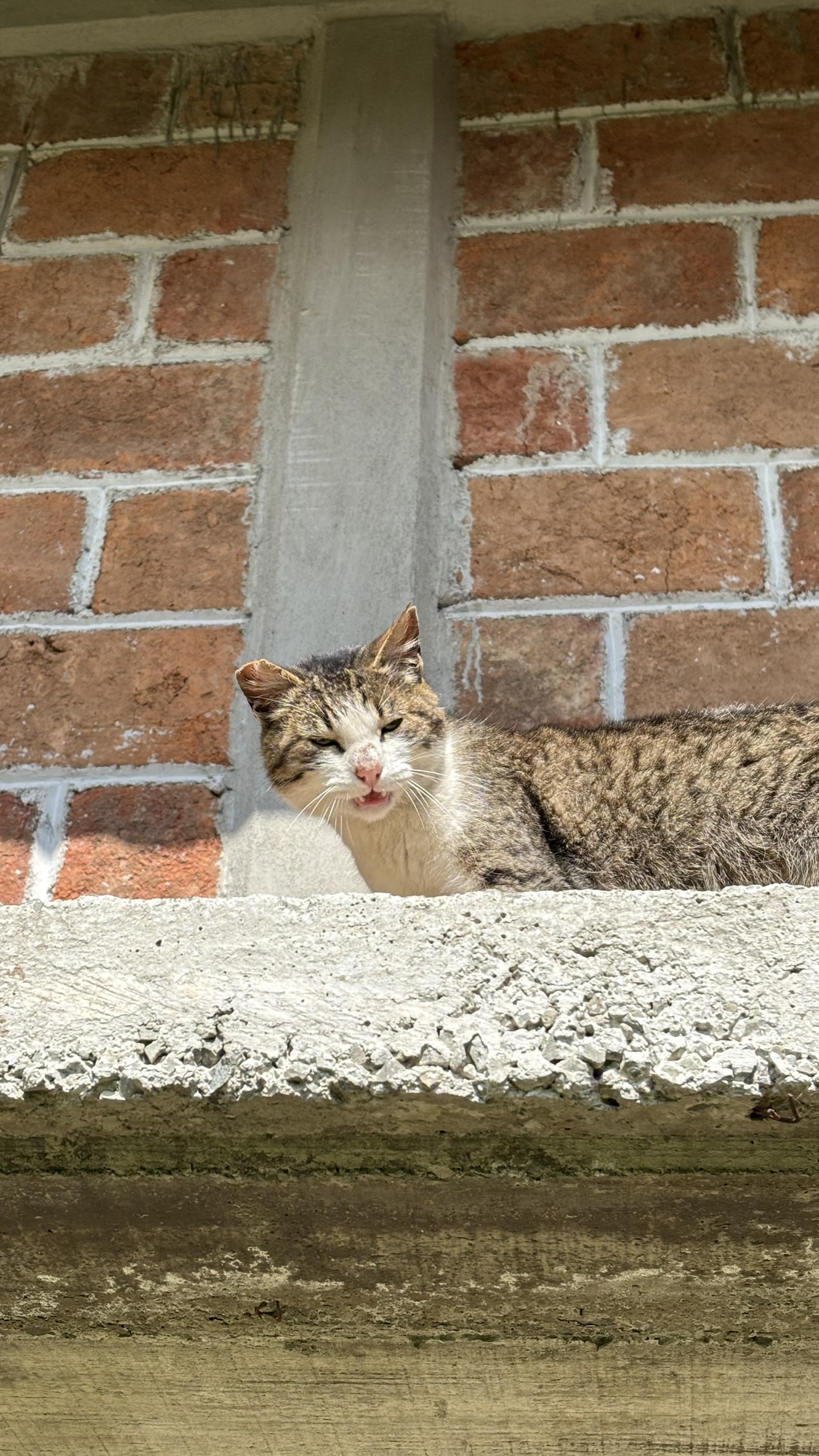 IMG_5713.JPEG