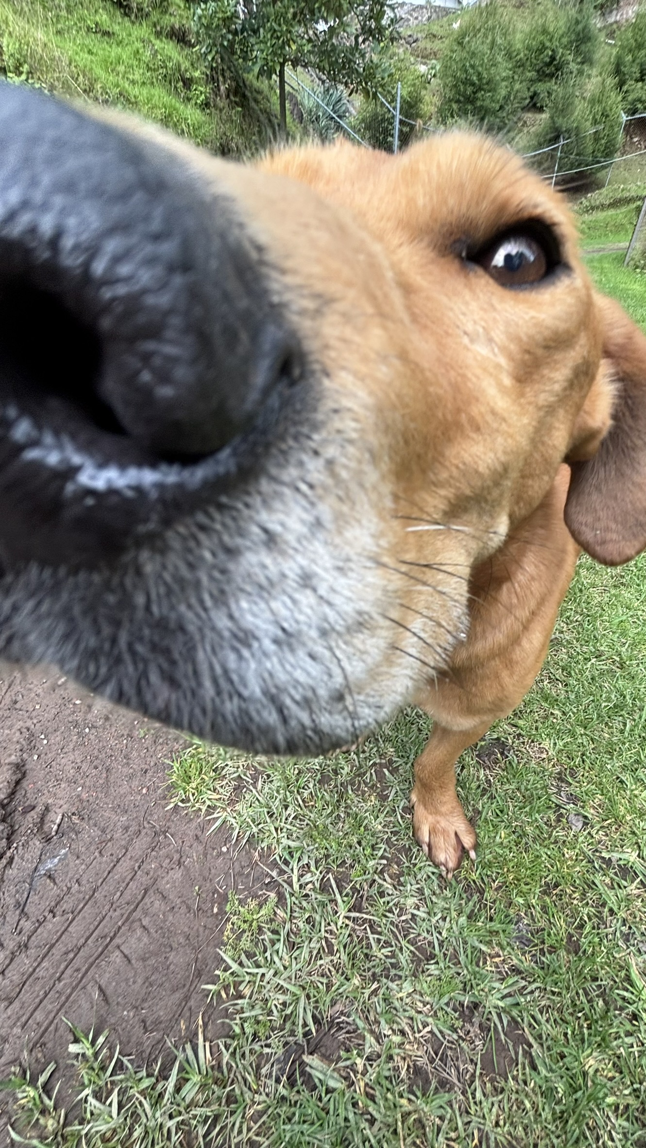 IMG_5793.JPEG