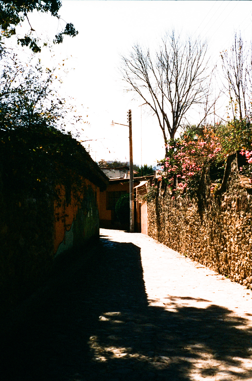 Huasca Photo 13