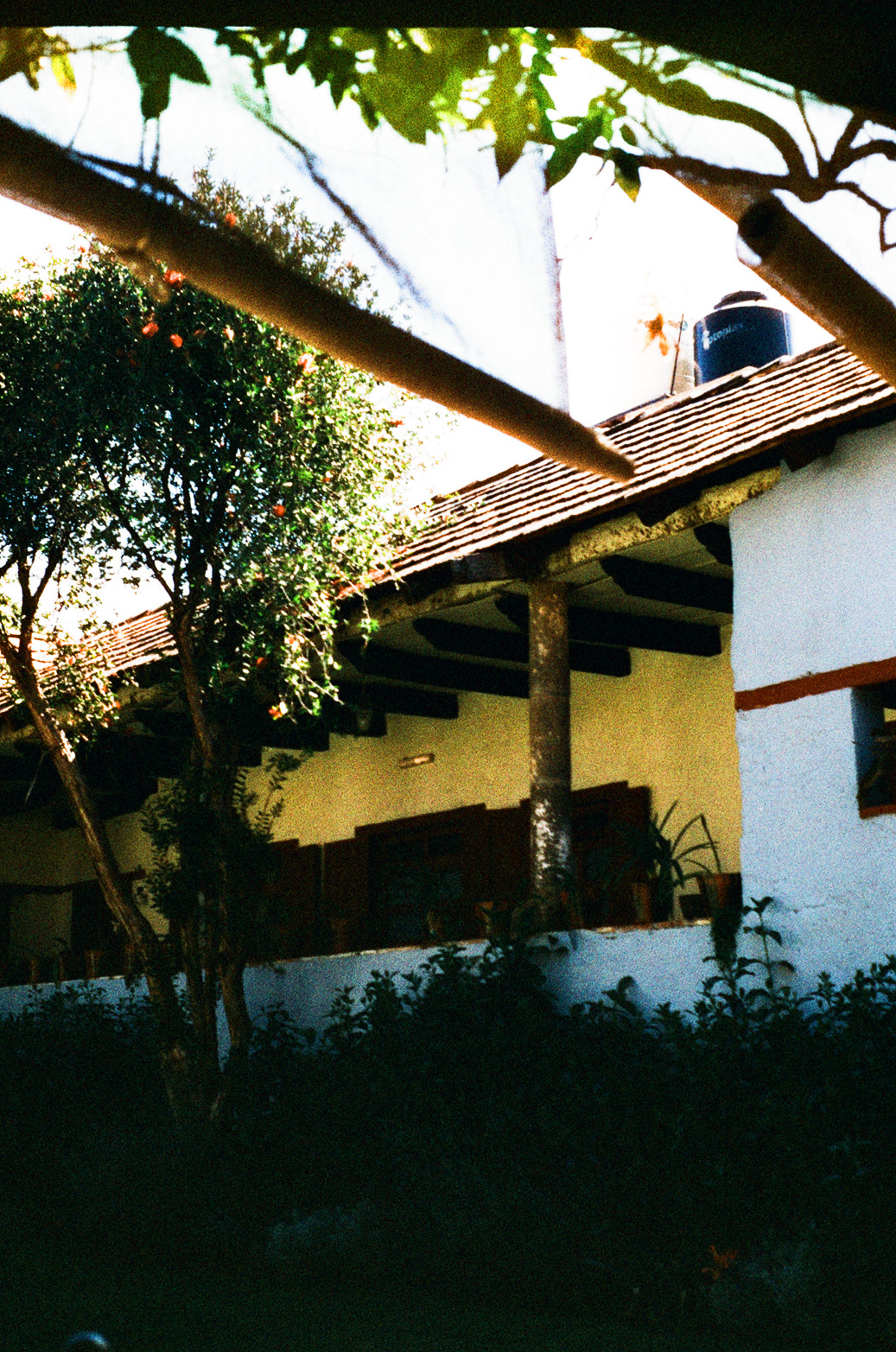 Huasca Photo 15