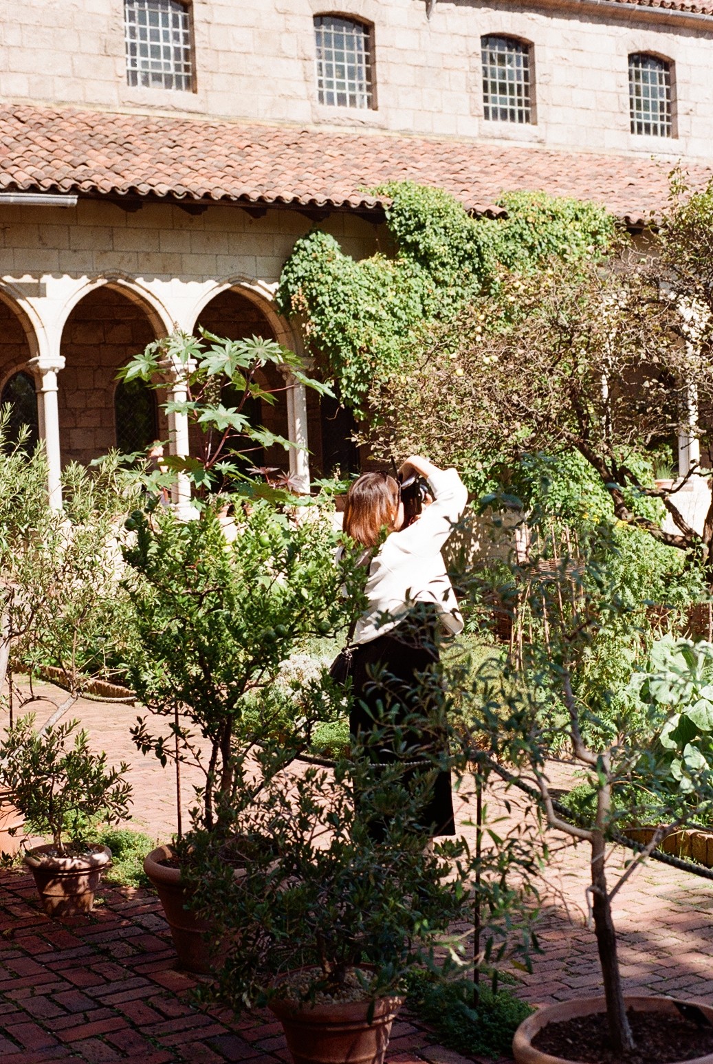 The Met Cloisters Photo 7