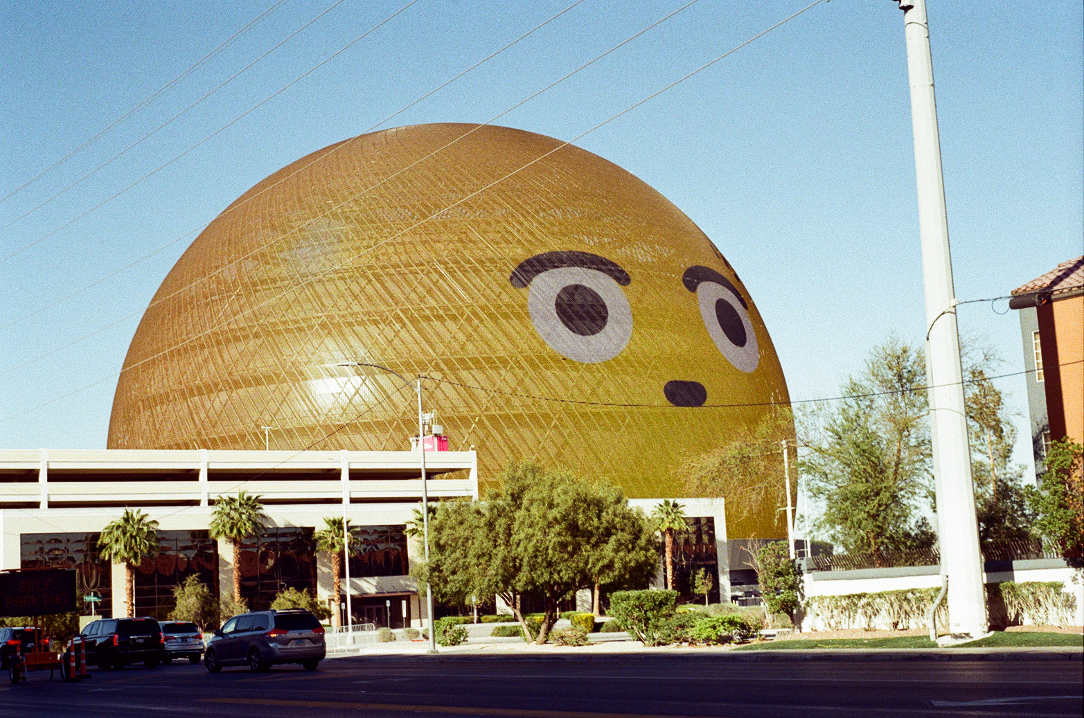 Vegas Photo 2