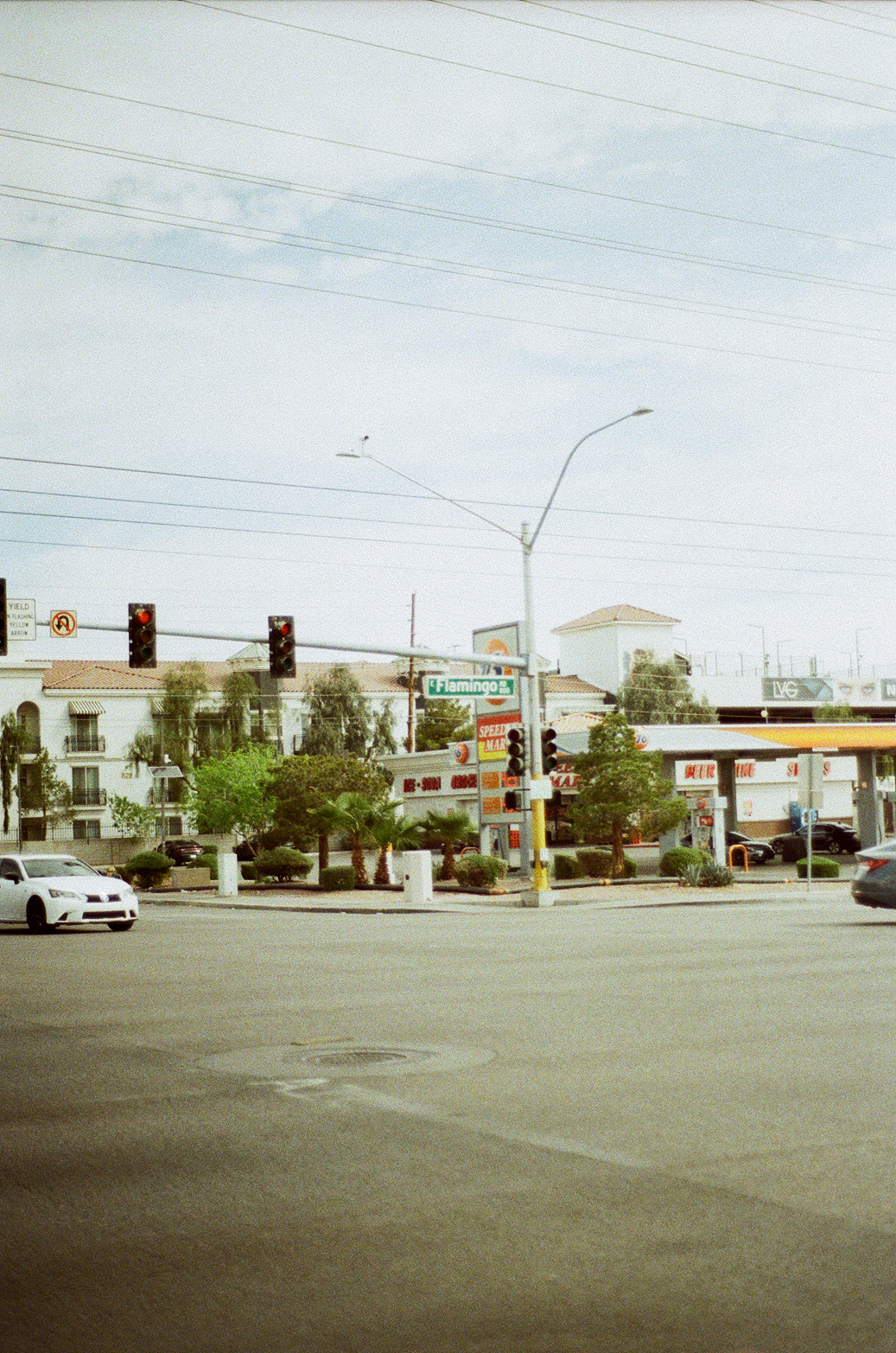 Vegas Photo 6