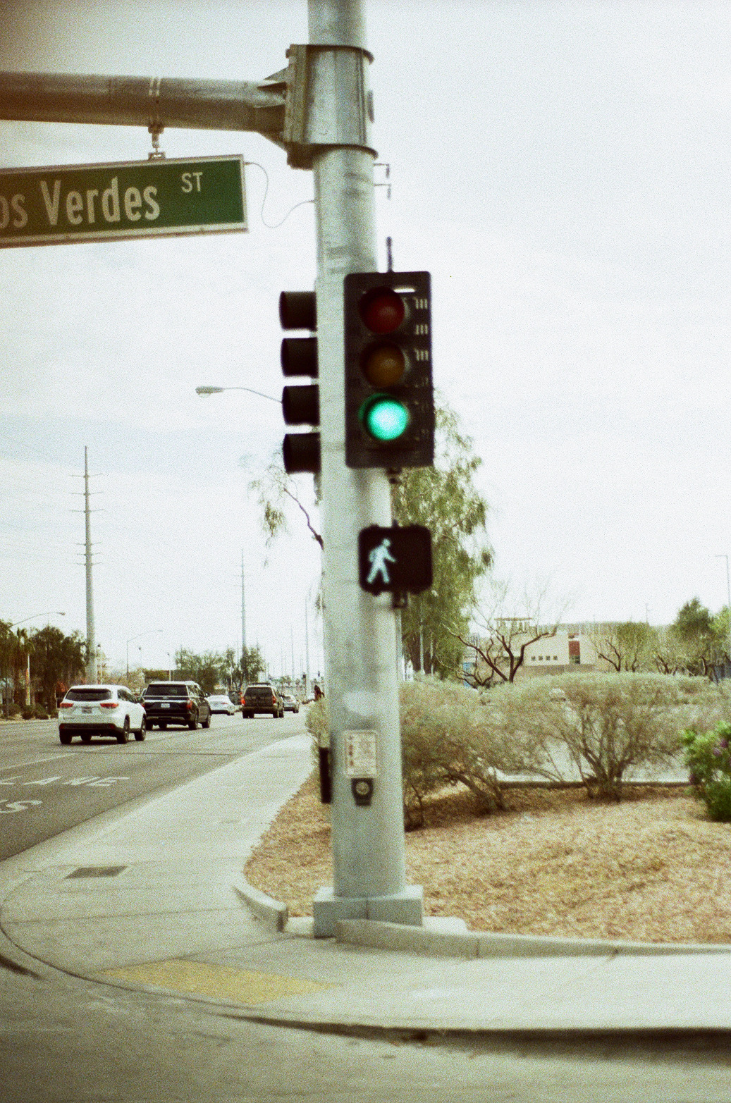Vegas Photo 8