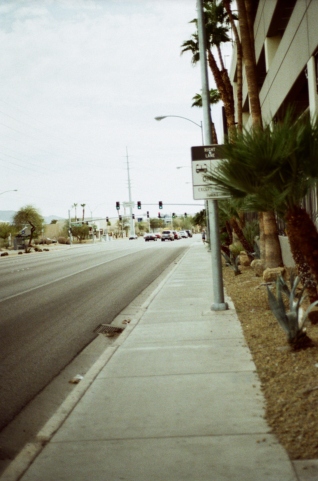 Vegas Photo 11