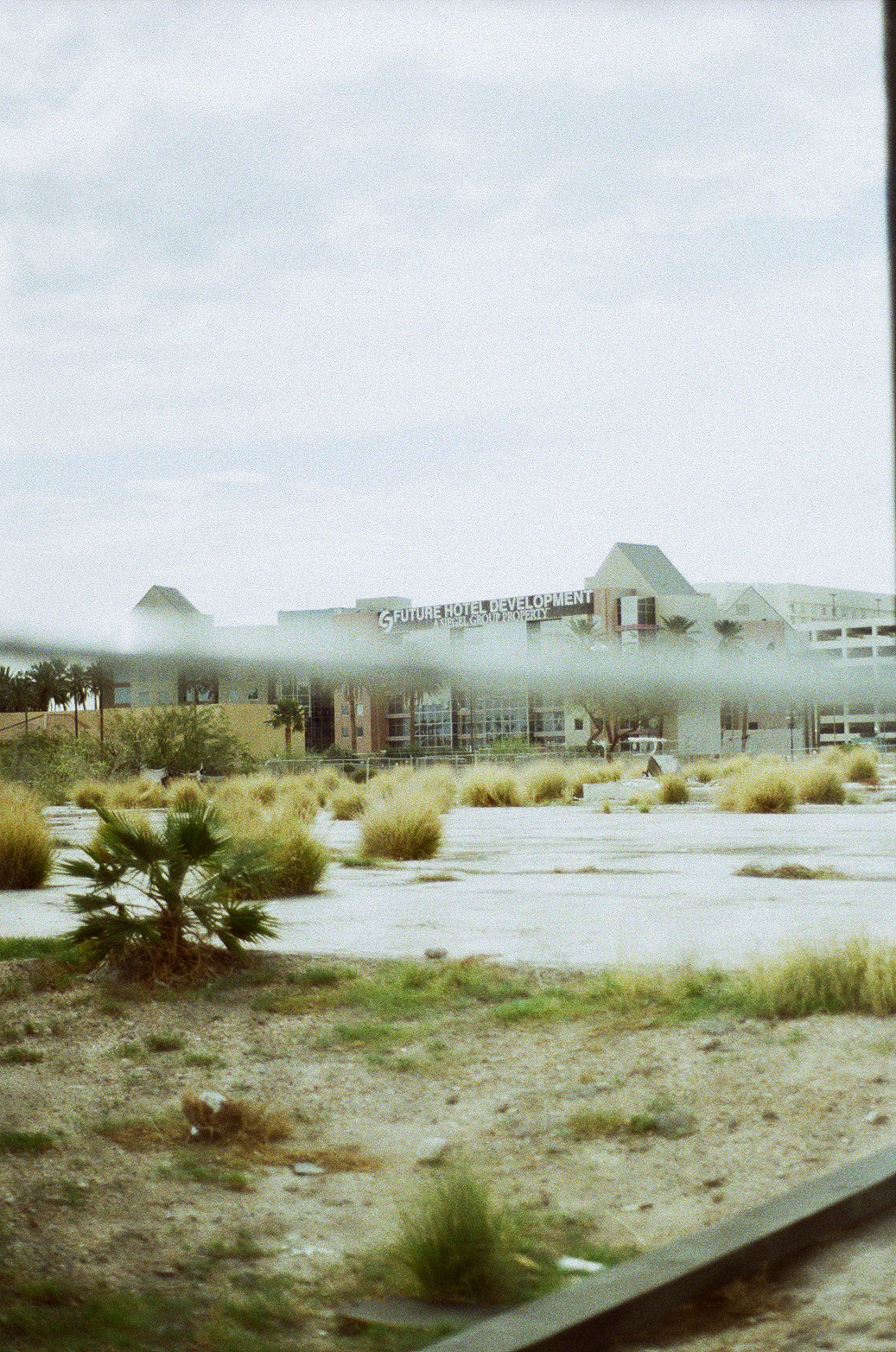 Vegas Photo 14