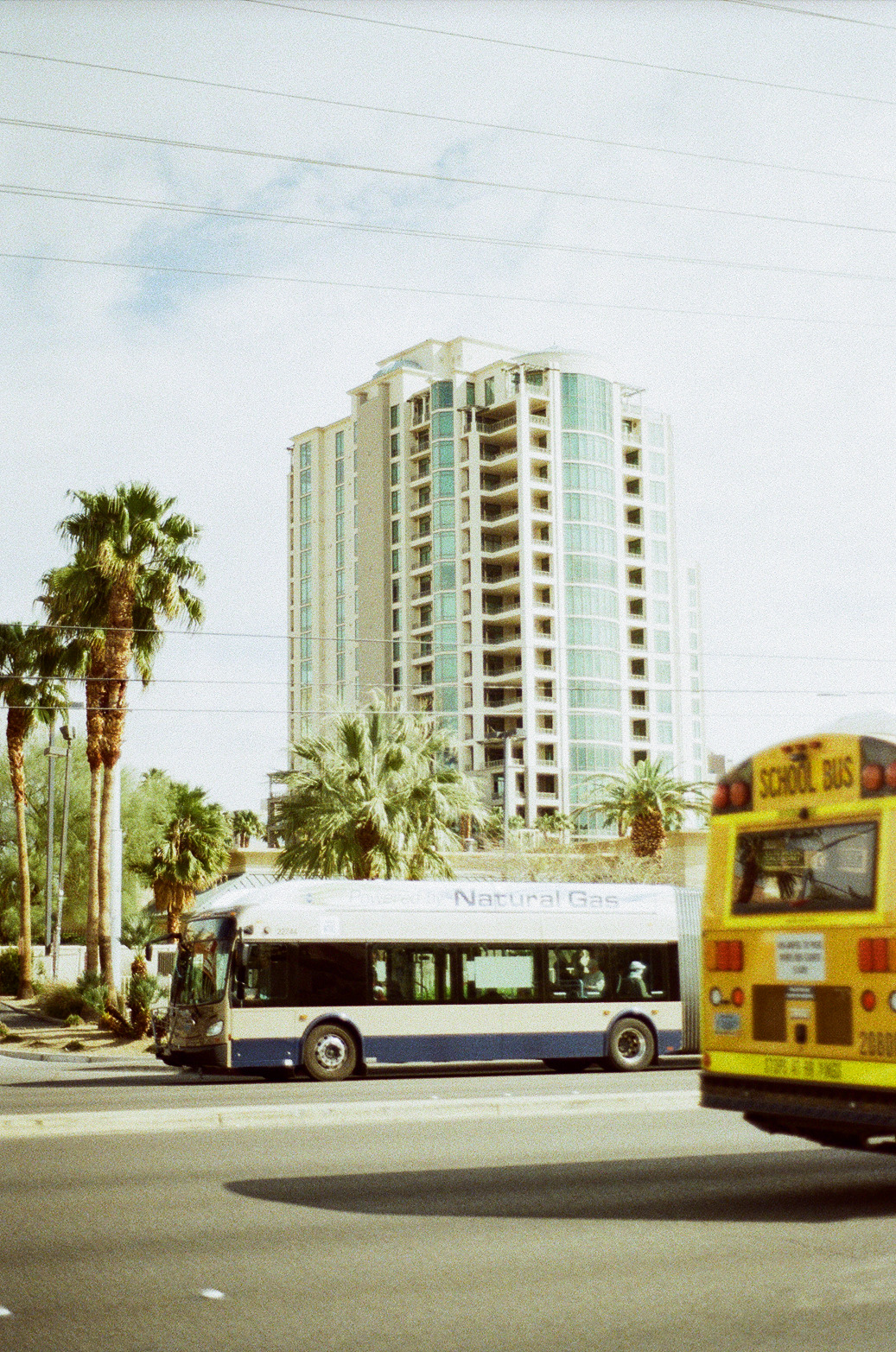 Vegas Photo 15