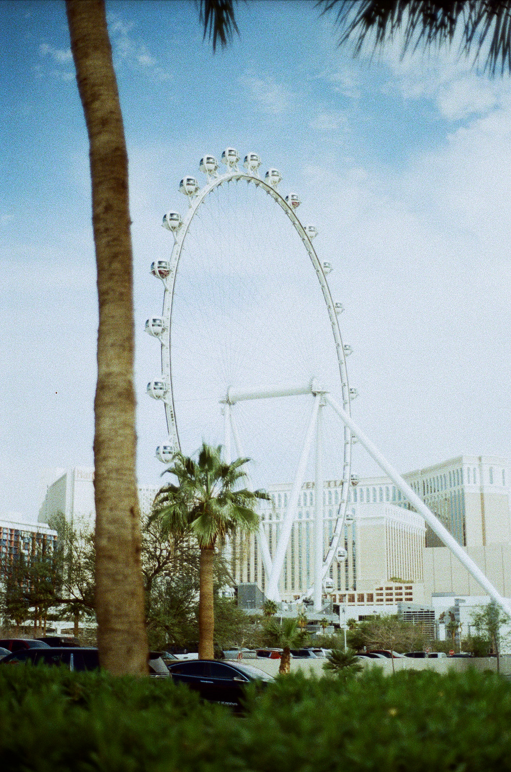 Vegas Photo 16