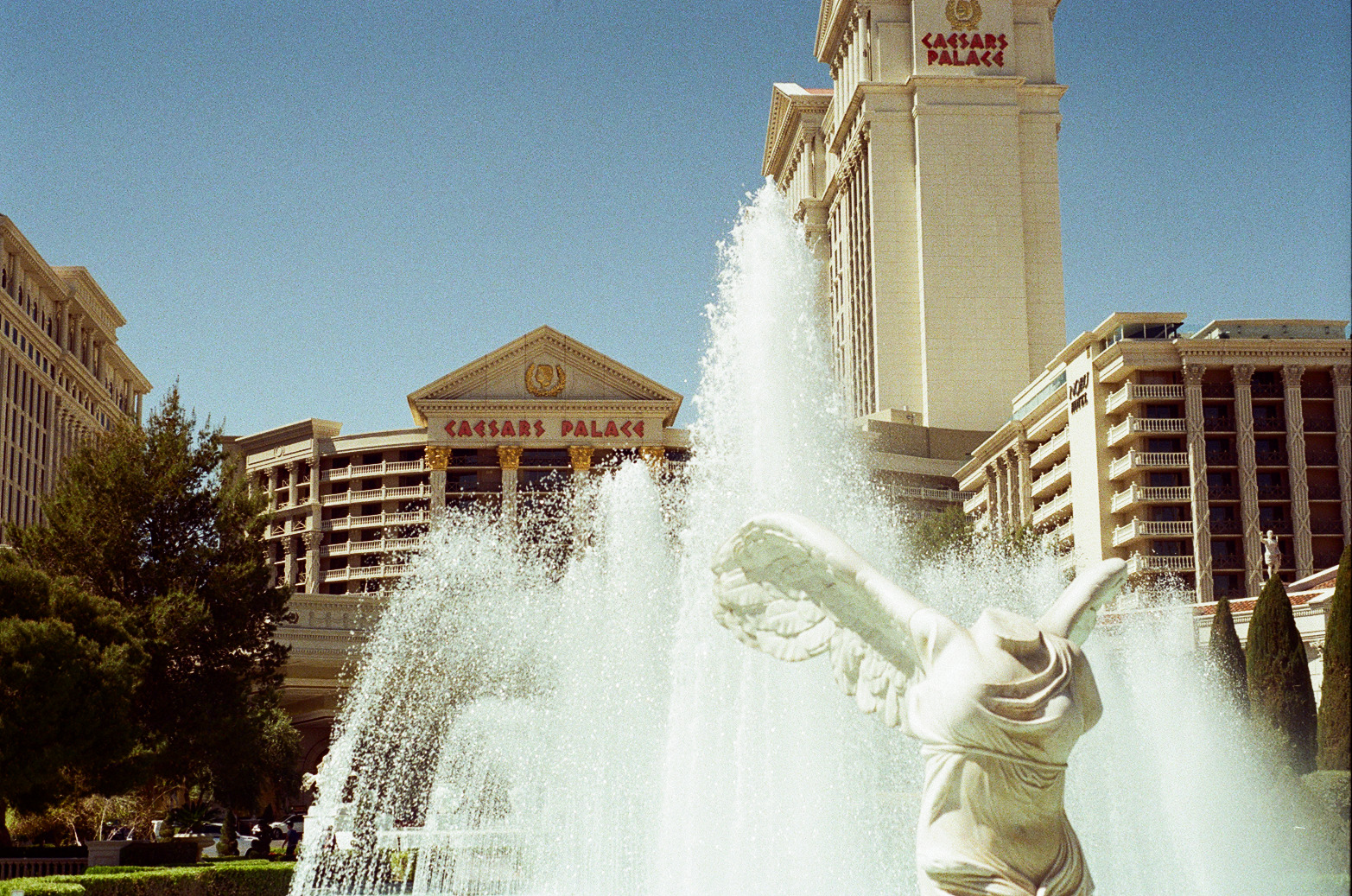 Vegas Photo 27