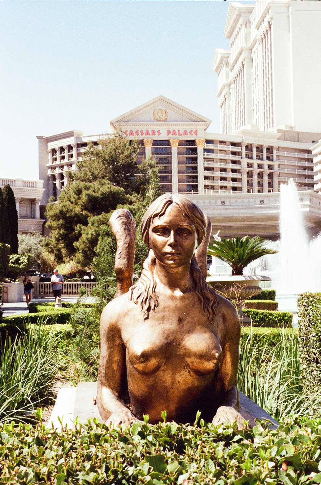Vegas Photo 29