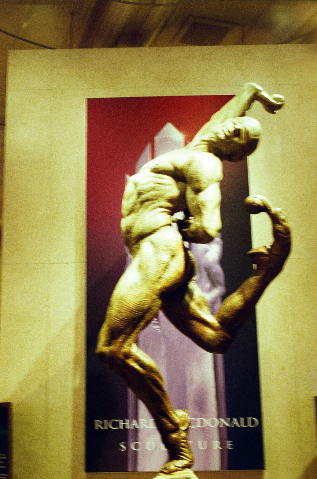 Vegas Photo 30