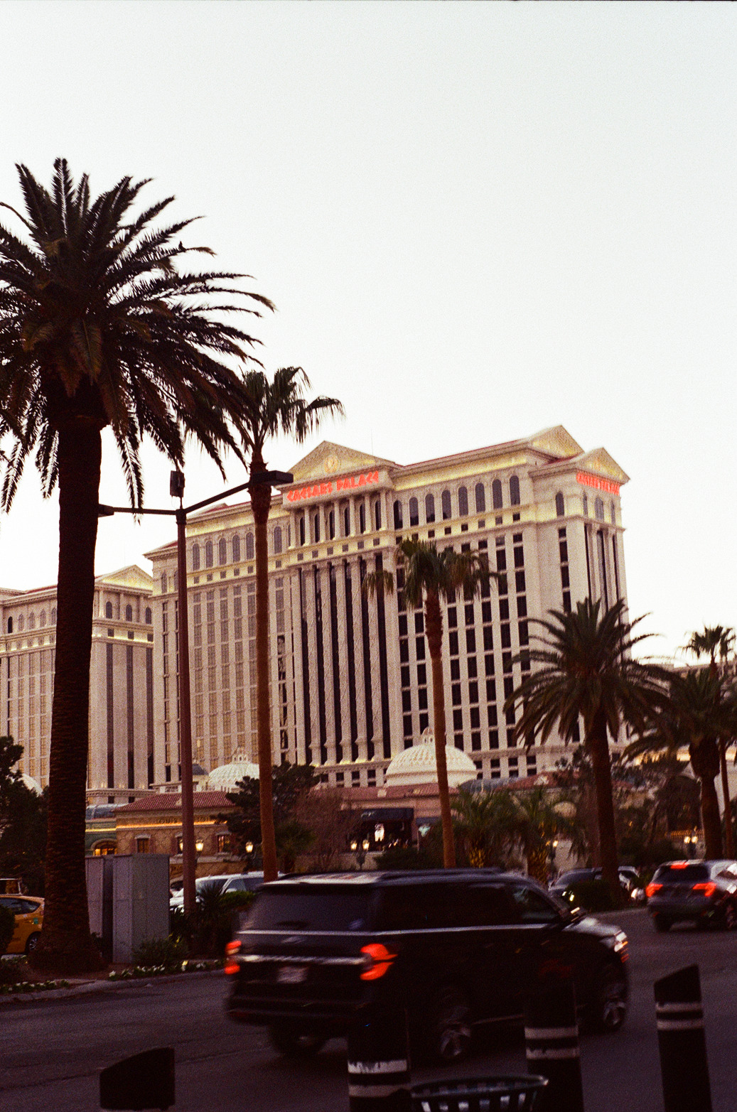 Vegas Photo 33