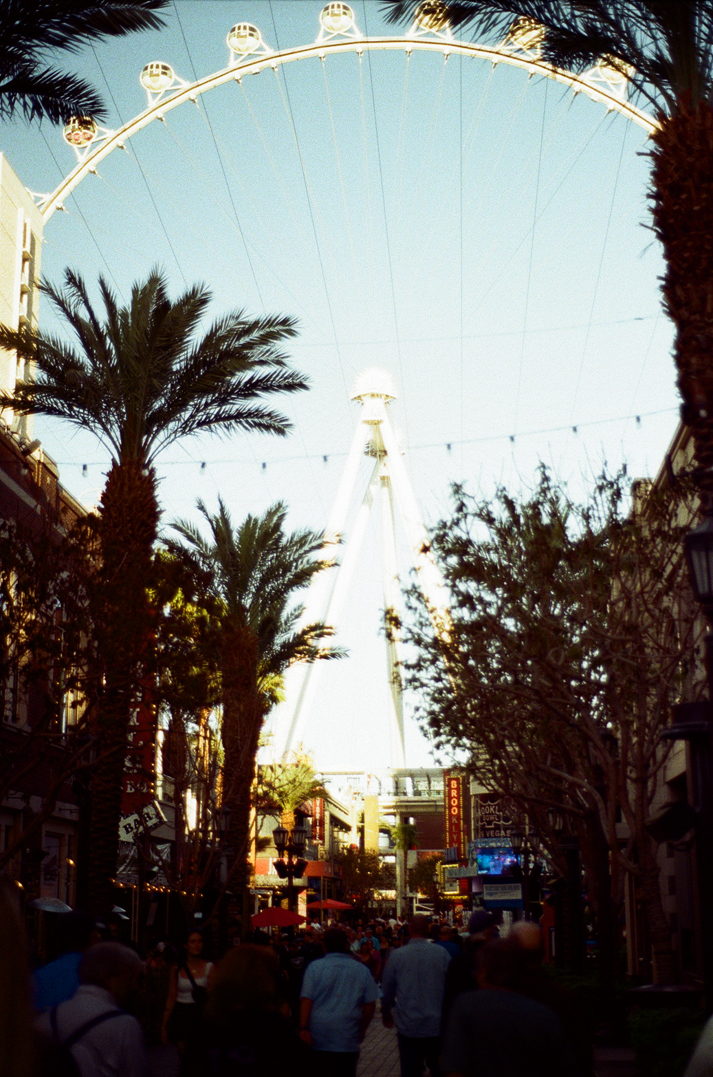 Vegas Photo 34