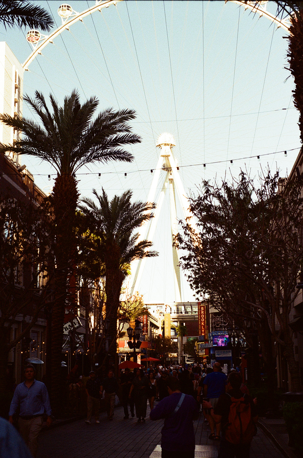 Vegas Photo 35