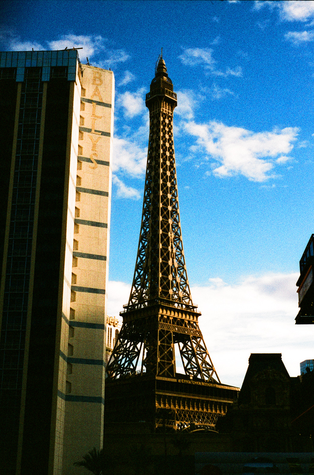 Vegas Photo 5