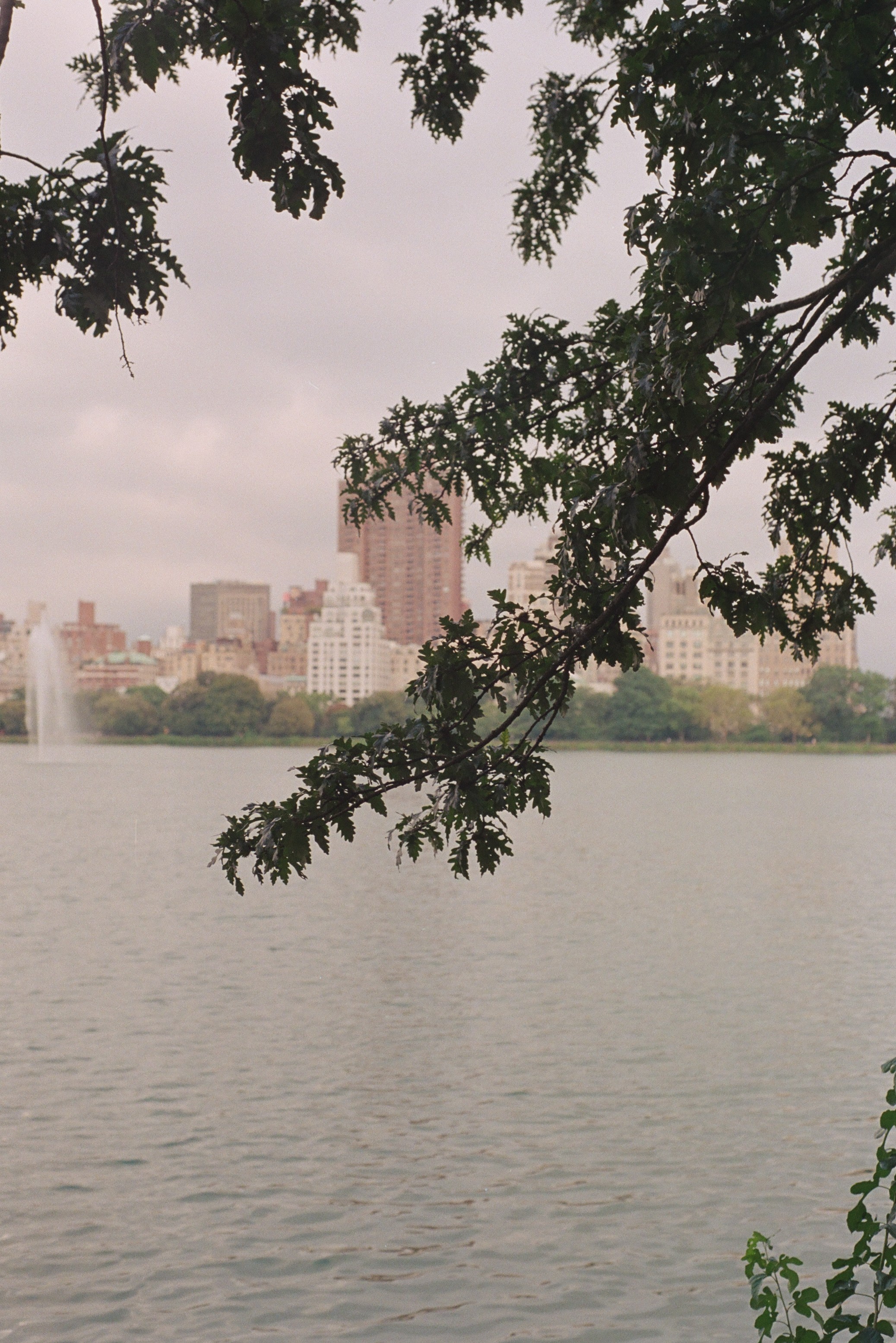 New York Photo 10