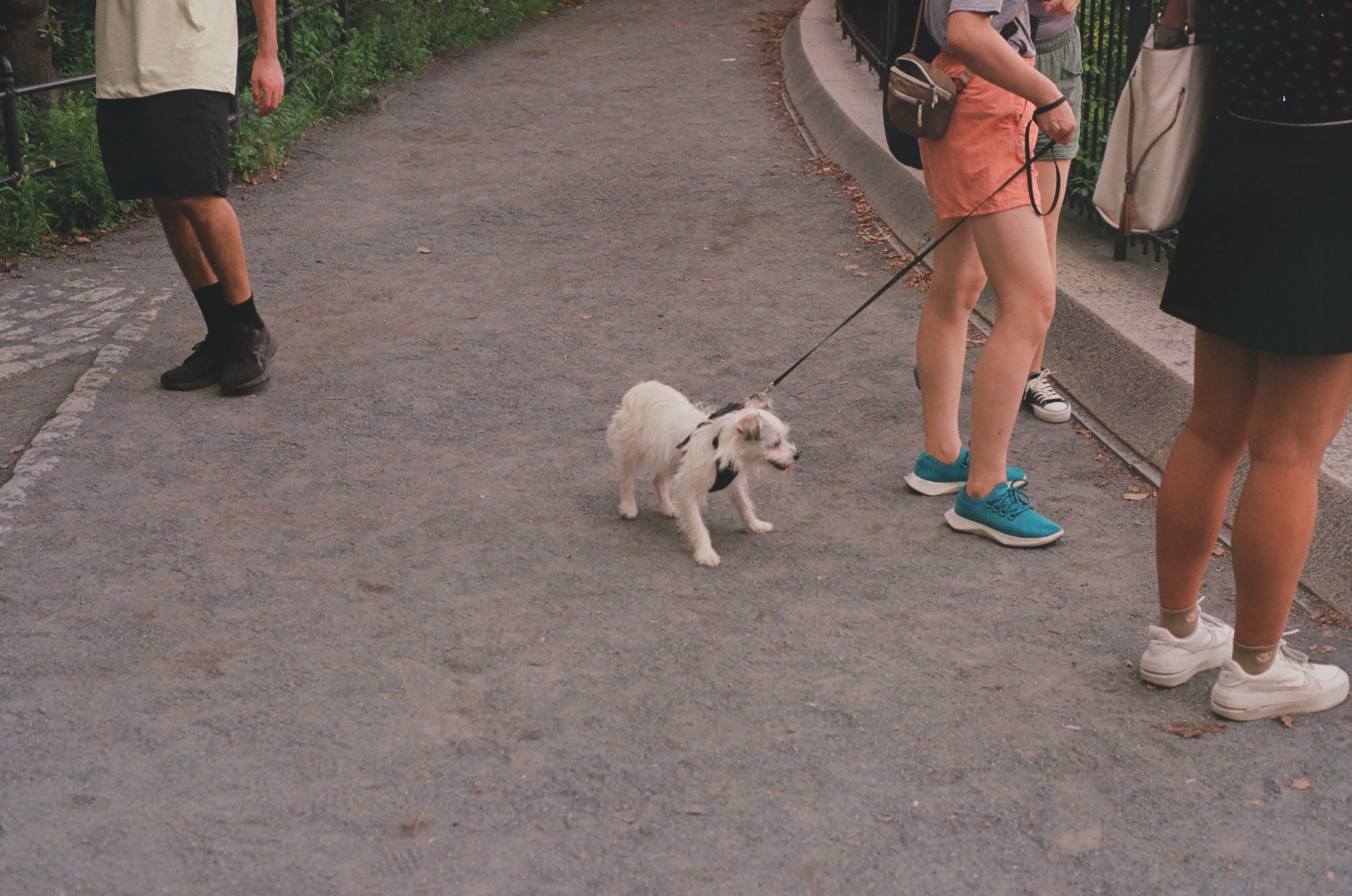 New York Photo 11