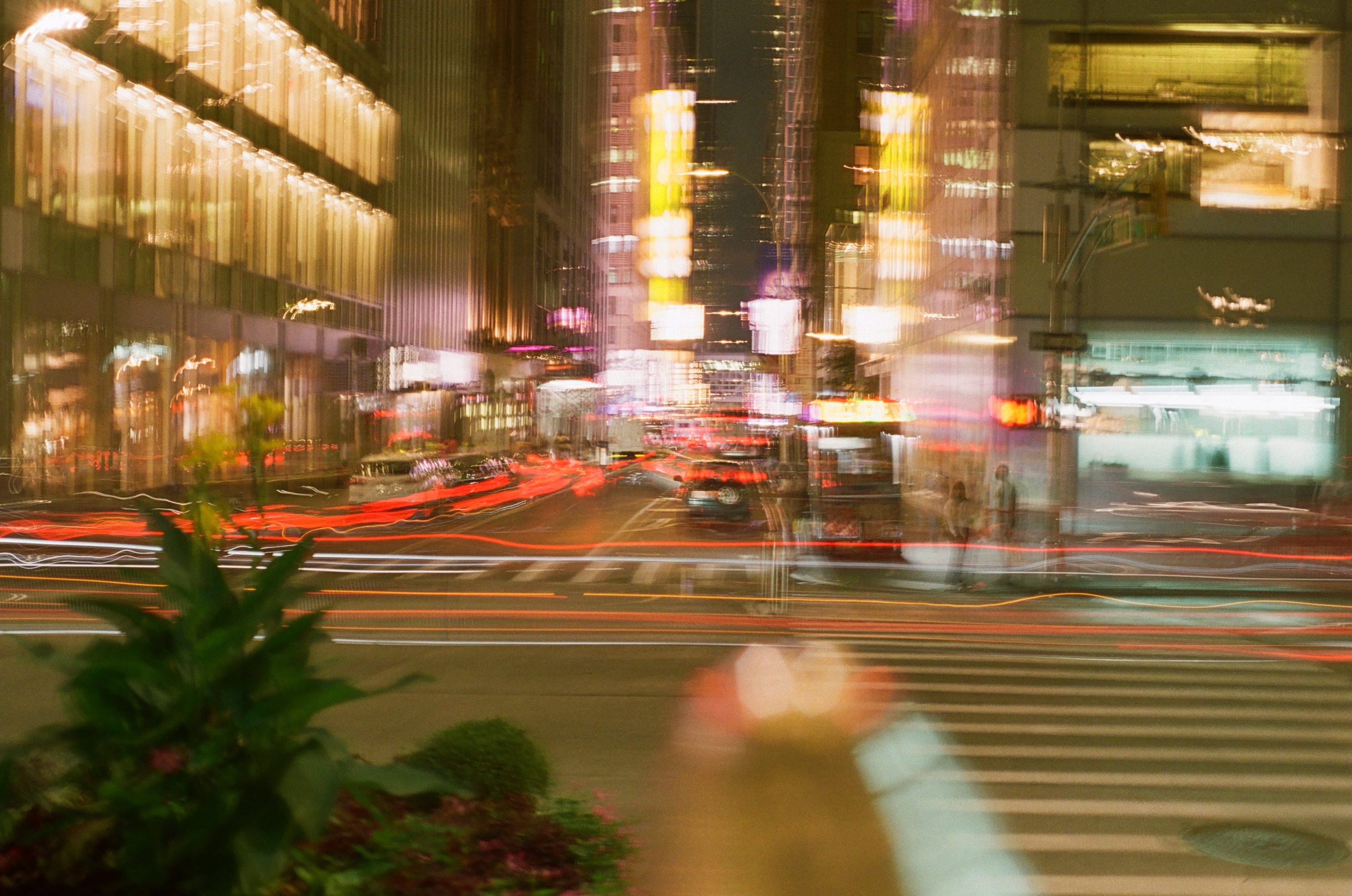 New York Photo 12