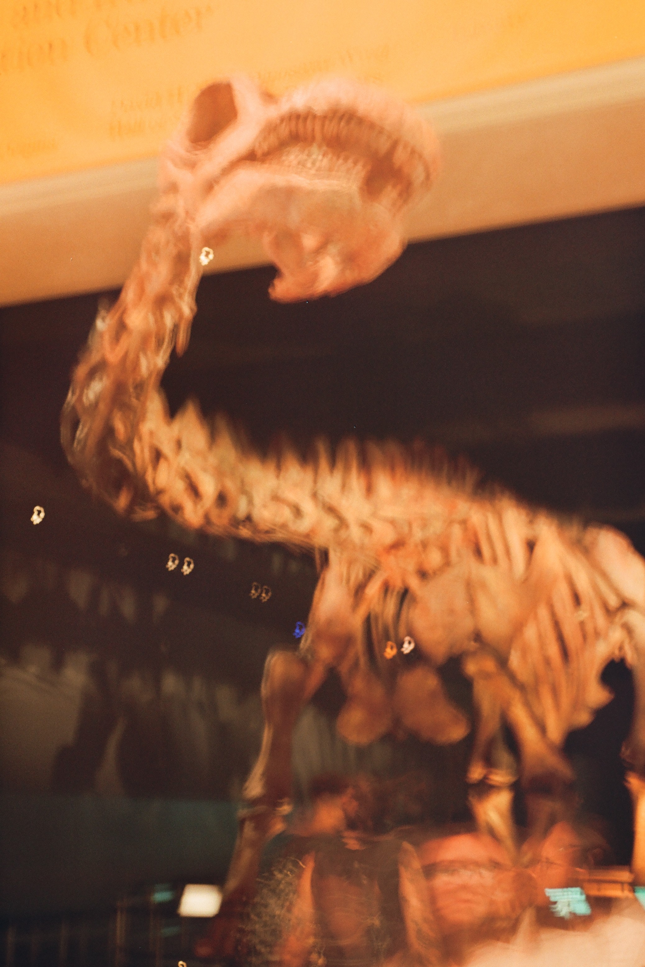 New York Photo 5