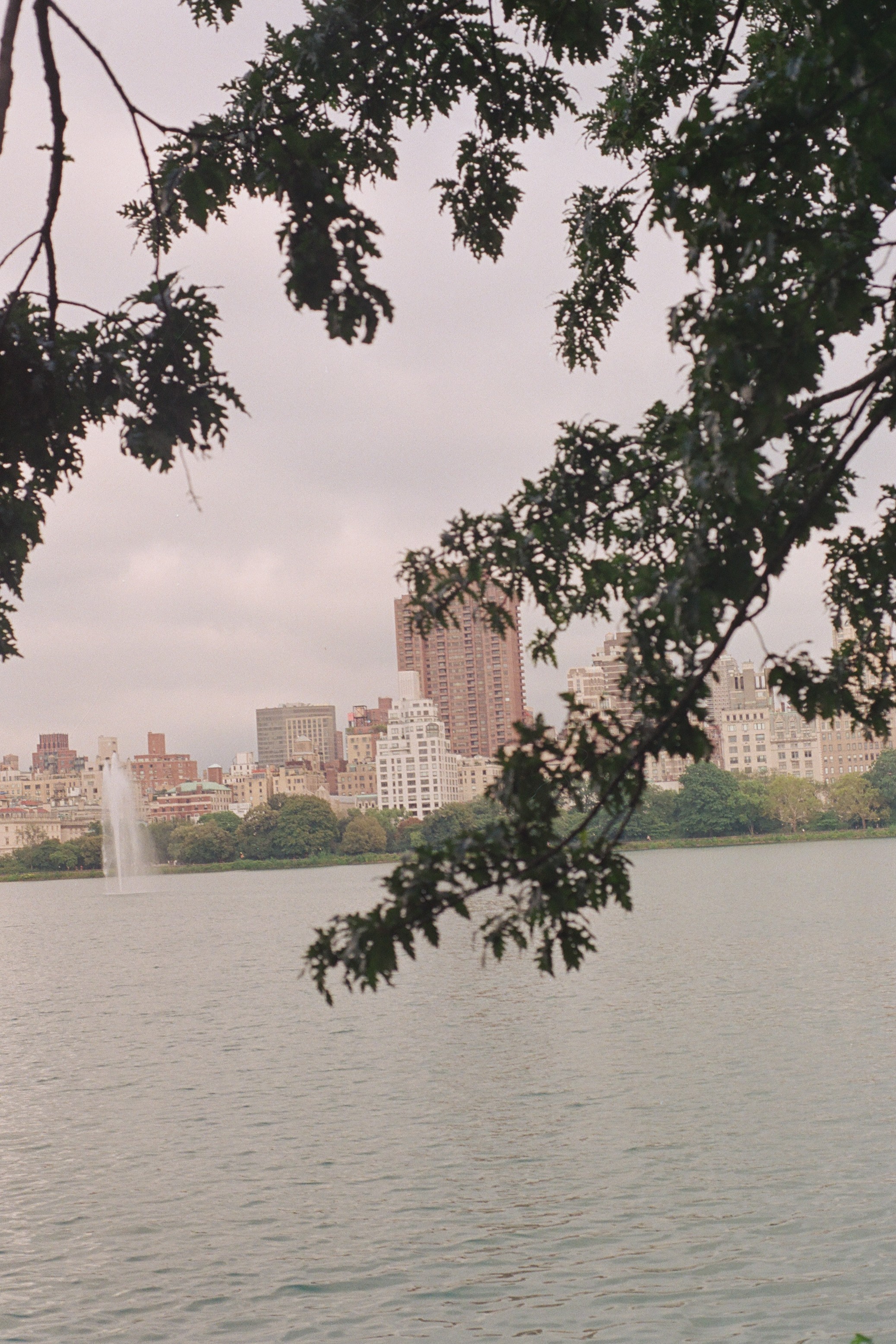 New York Photo 7