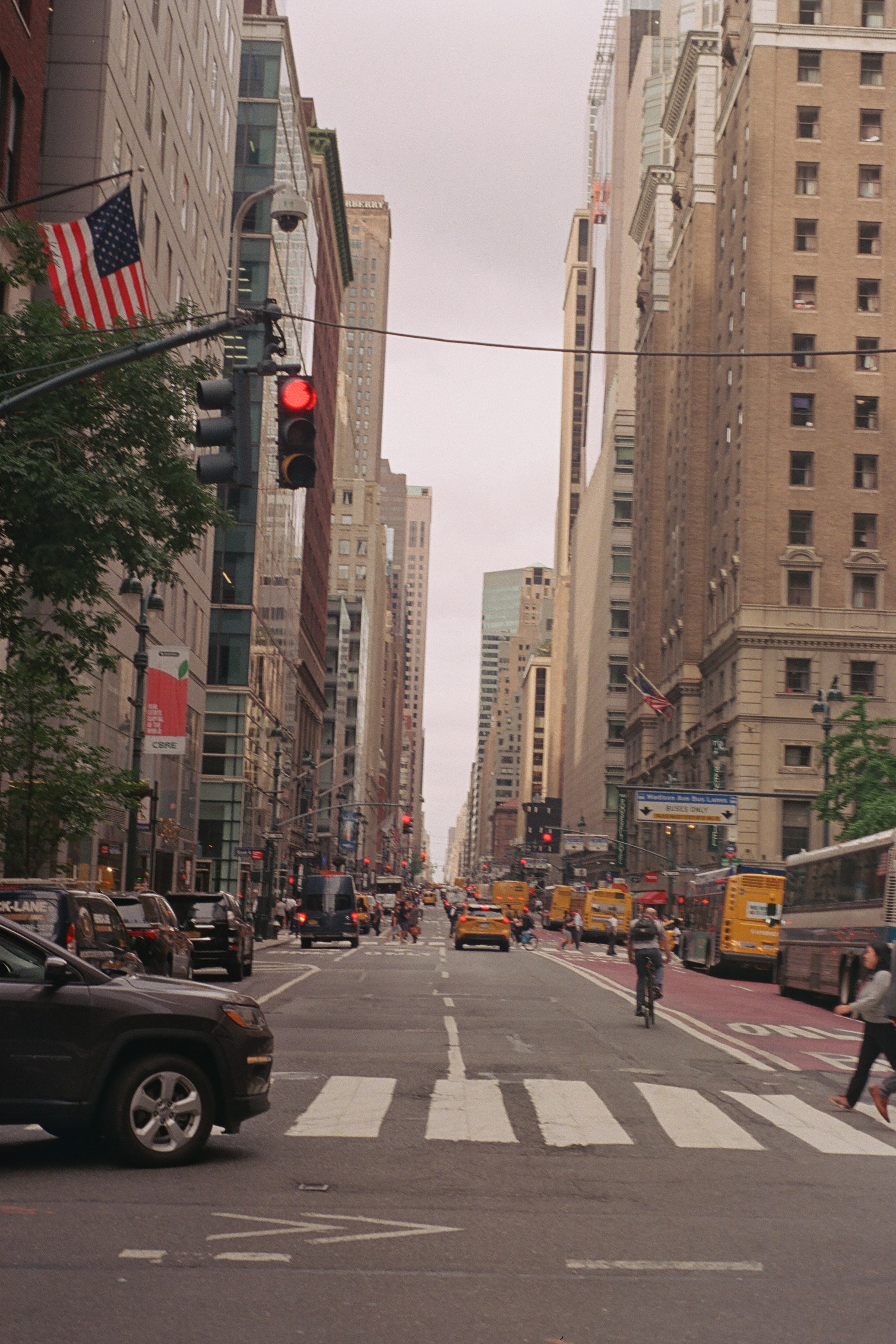 New York Photo 9