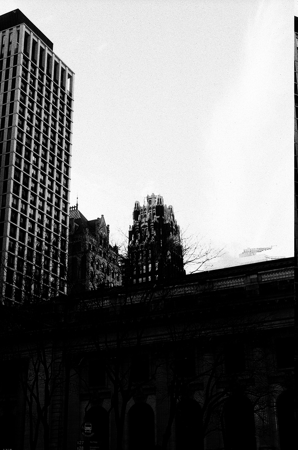 New York Photo 6