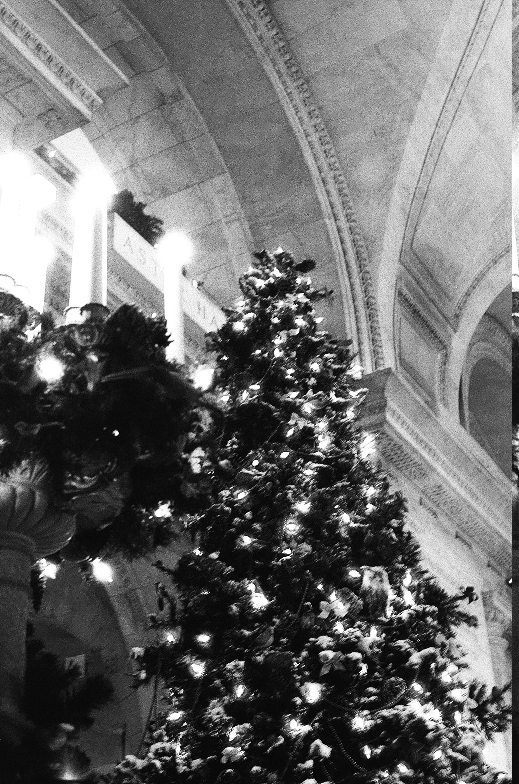 New York Photo 8