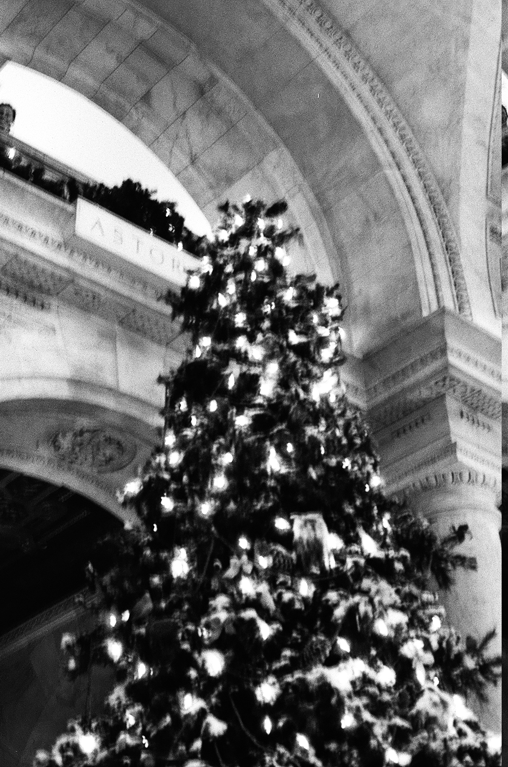 New York Photo 10