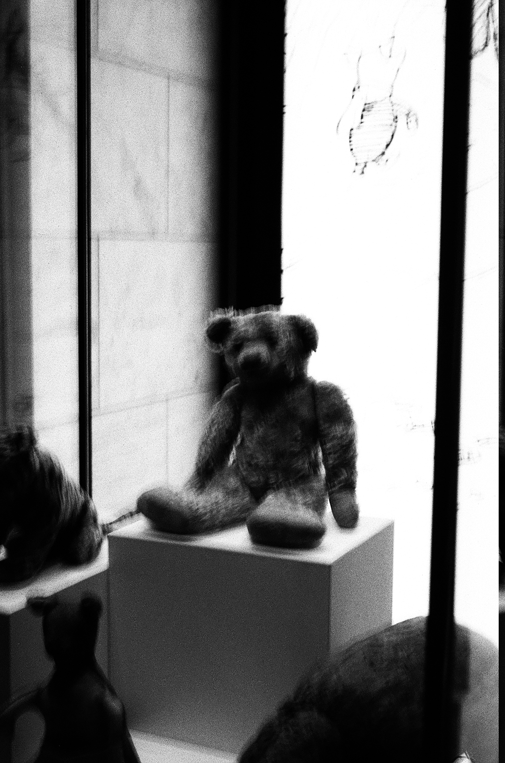 New York Photo 12
