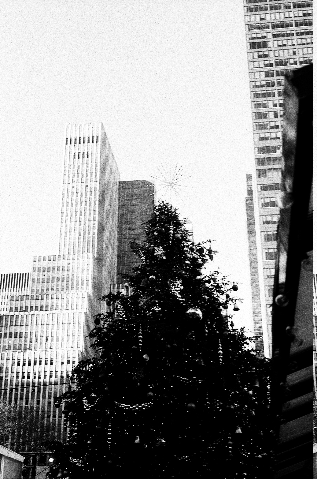 New York Photo 16