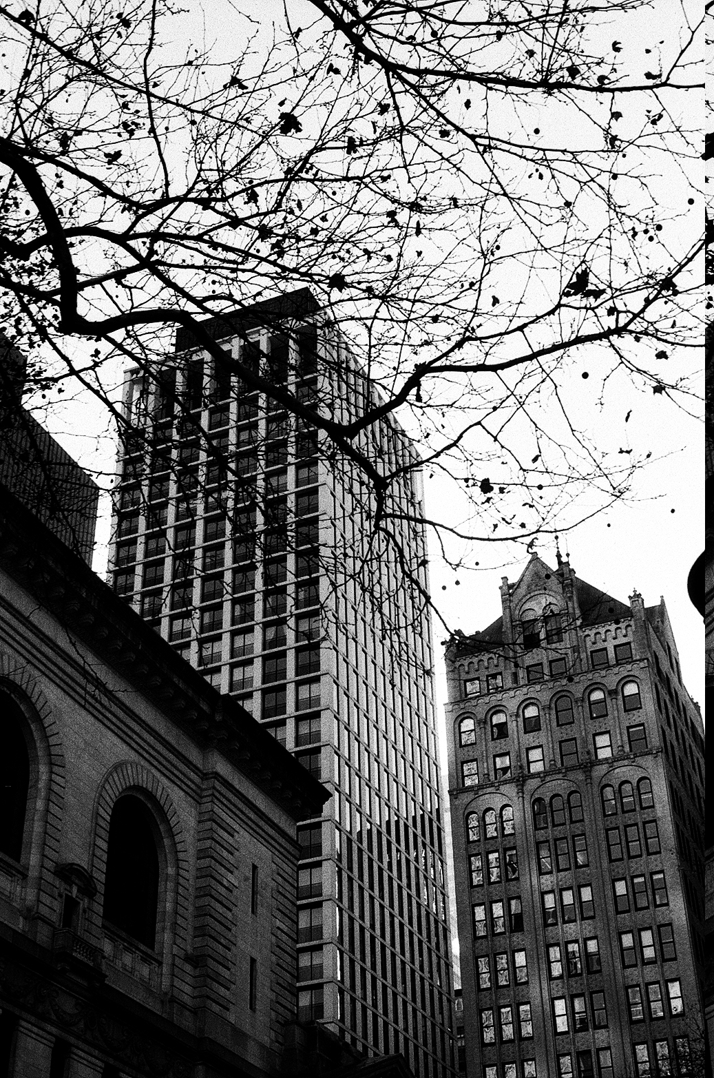 New York Photo 17