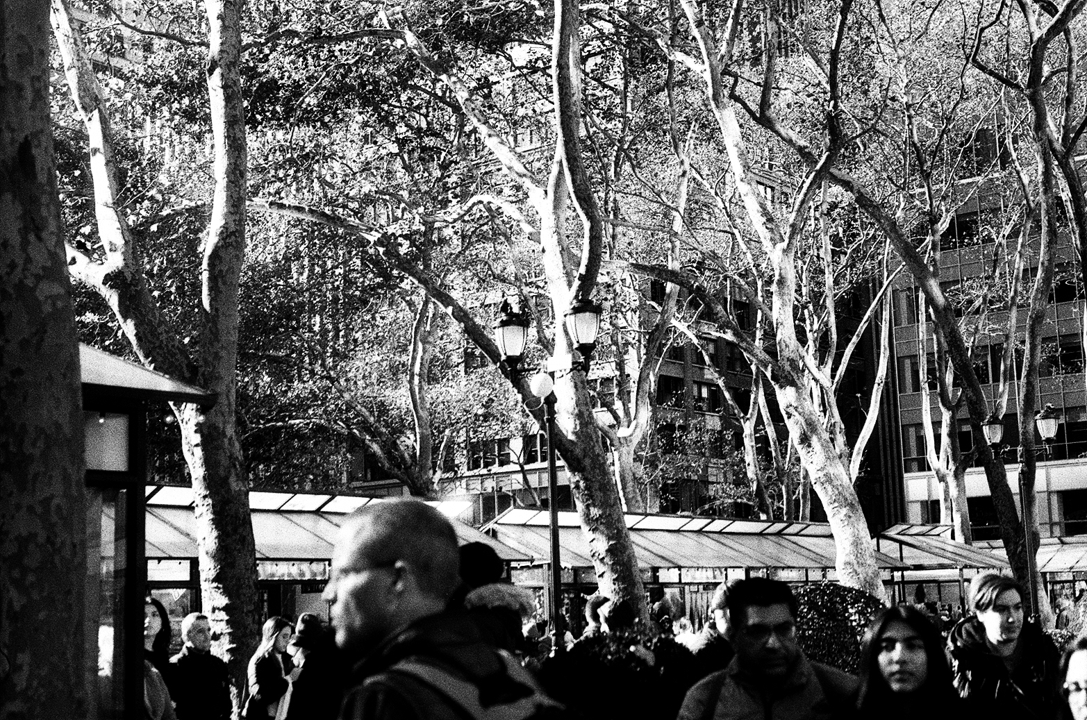 New York Photo 2