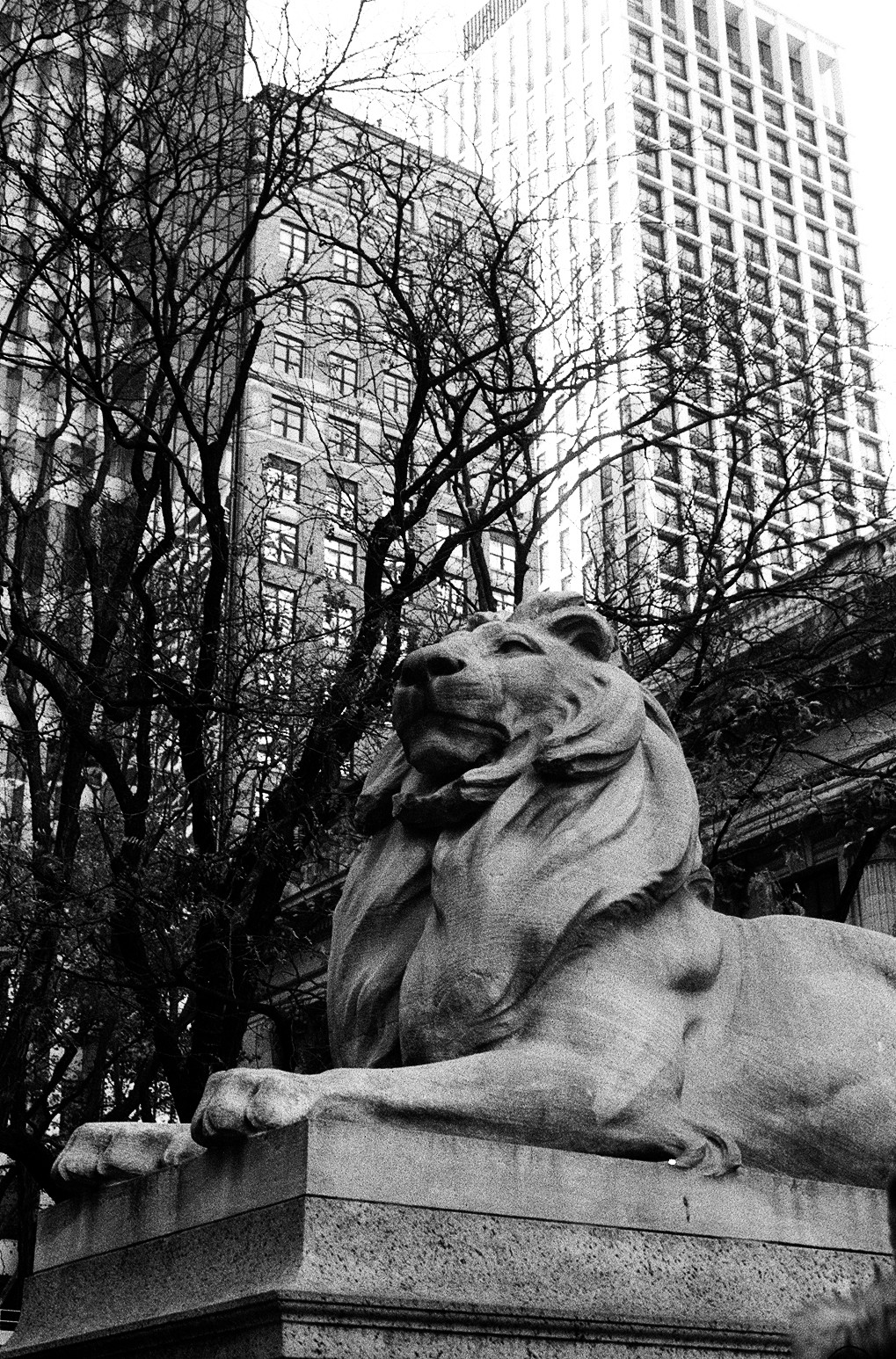 New York Photo 3
