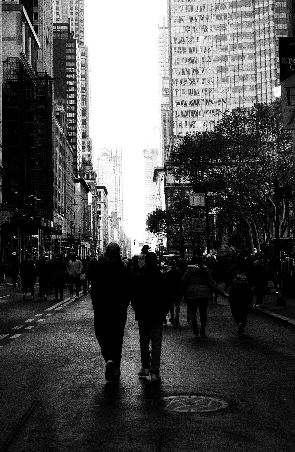New York Photo 4