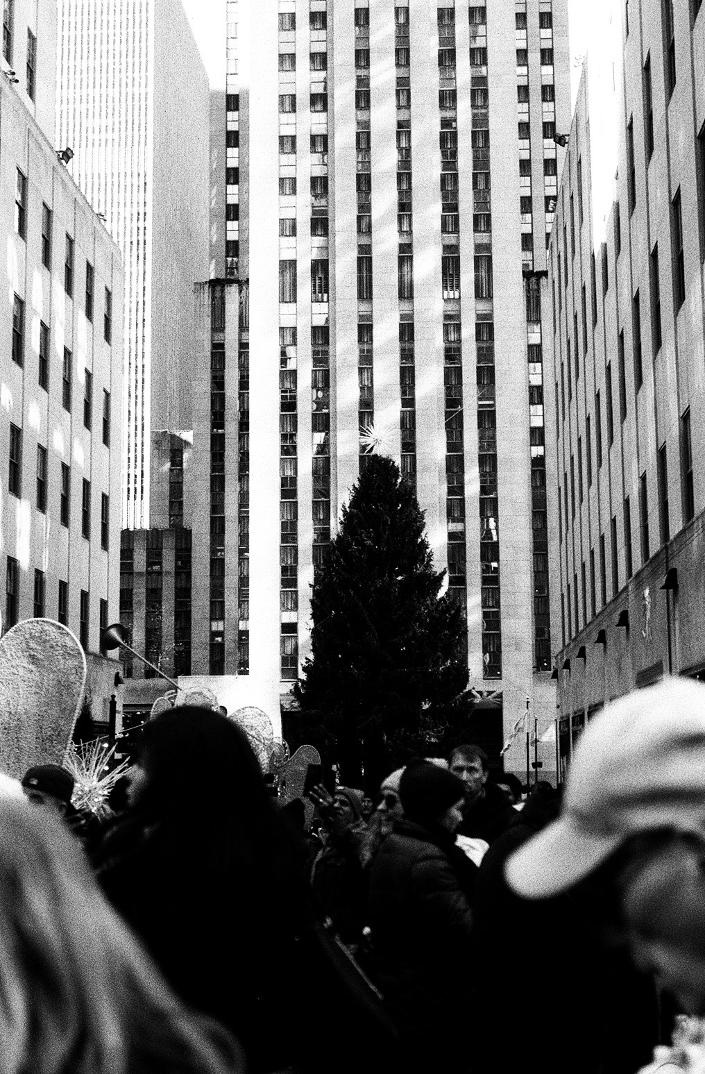 New York Photo 7