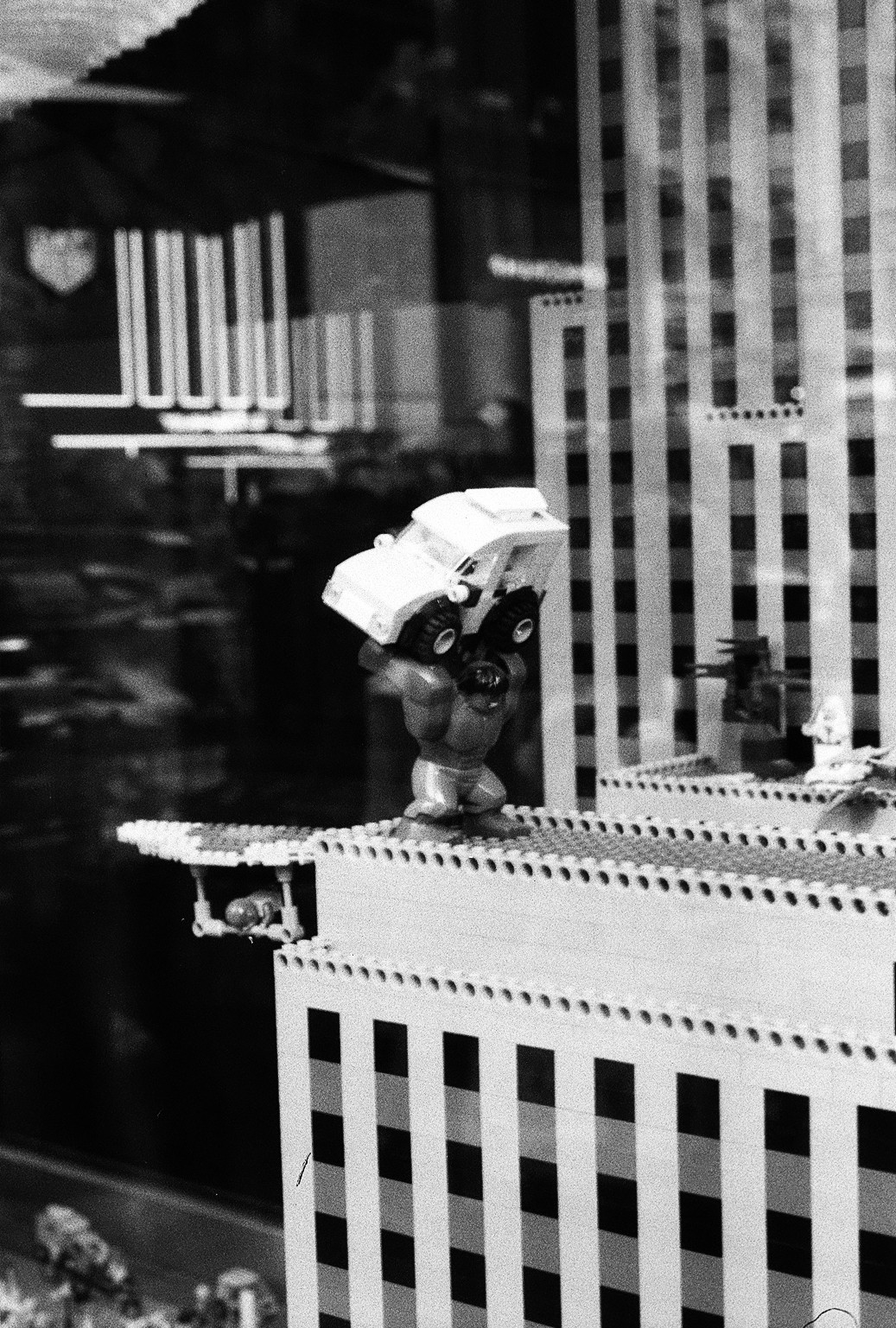 New York Photo 8