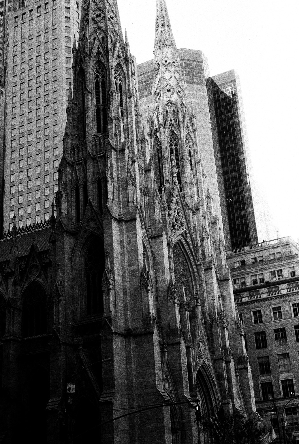 New York Photo 9