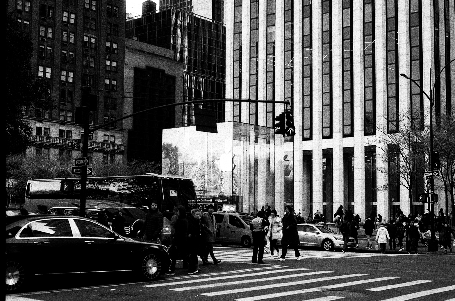 New York Photo 10