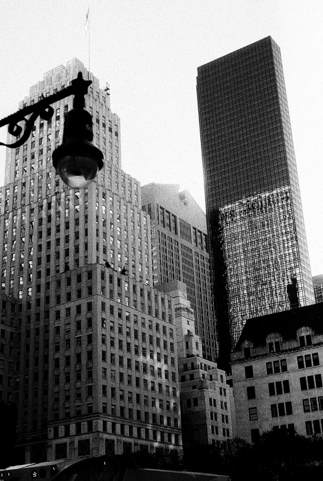 New York Photo 11