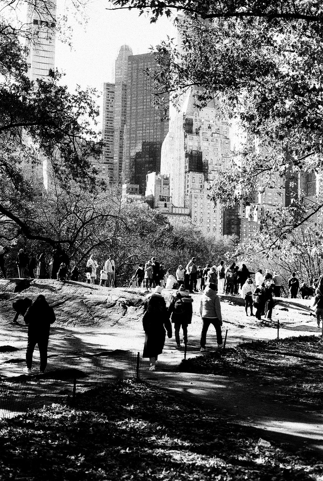New York Photo 13