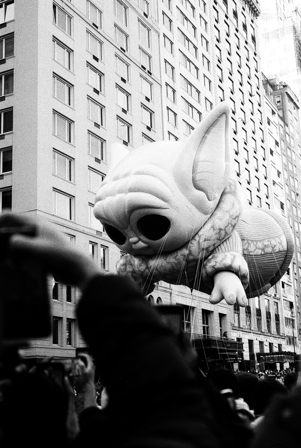 New York Photo 18