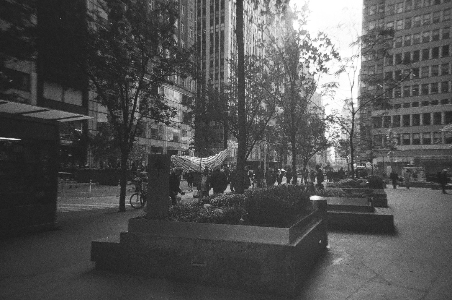 New York Photo 2