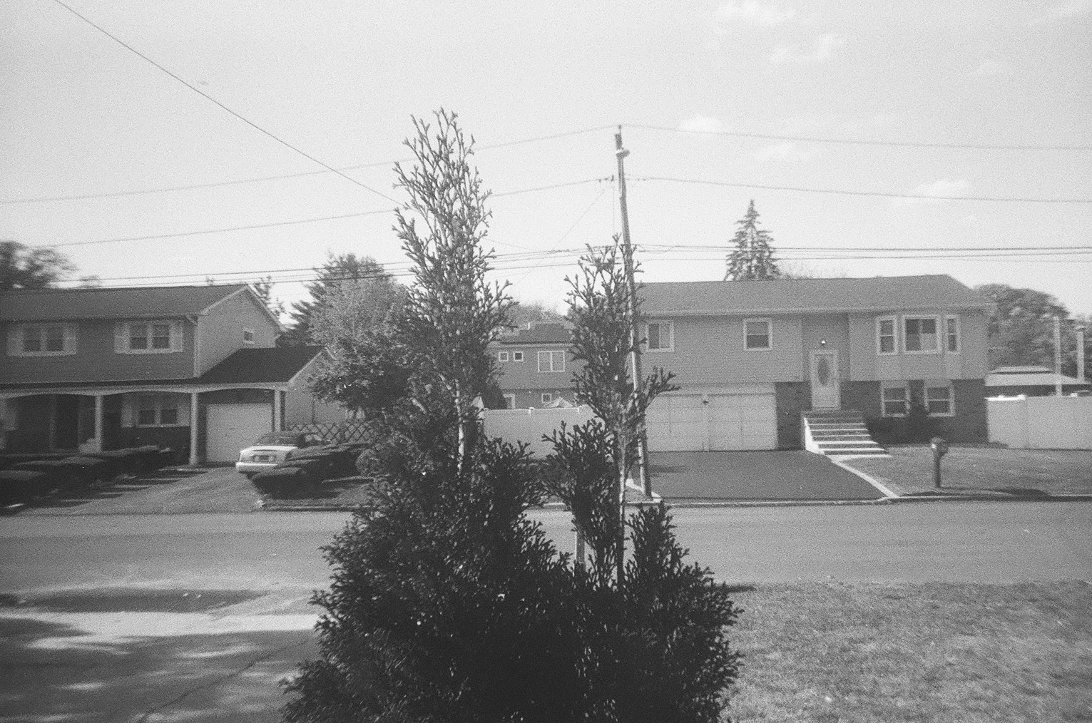 New York Photo 13