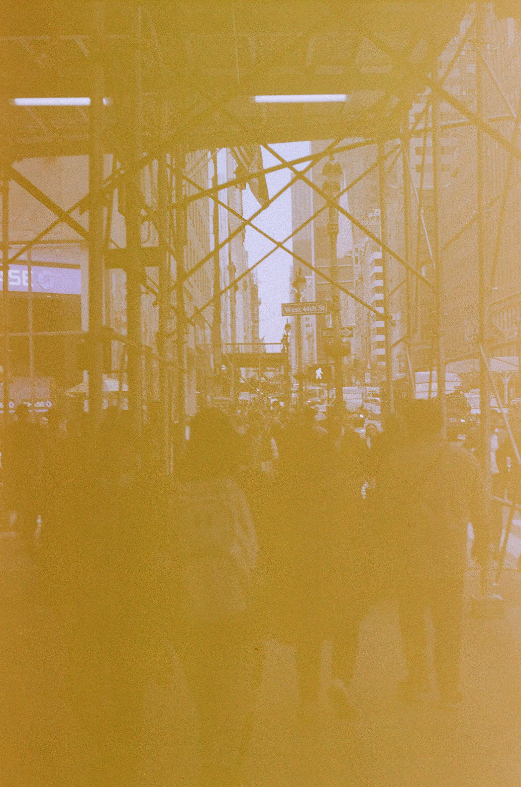 New York Photo 8