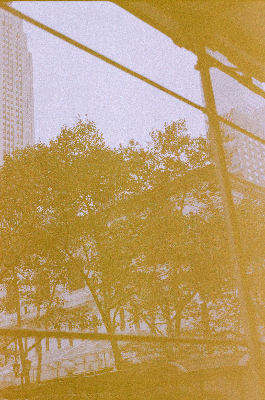 New York Photo 11