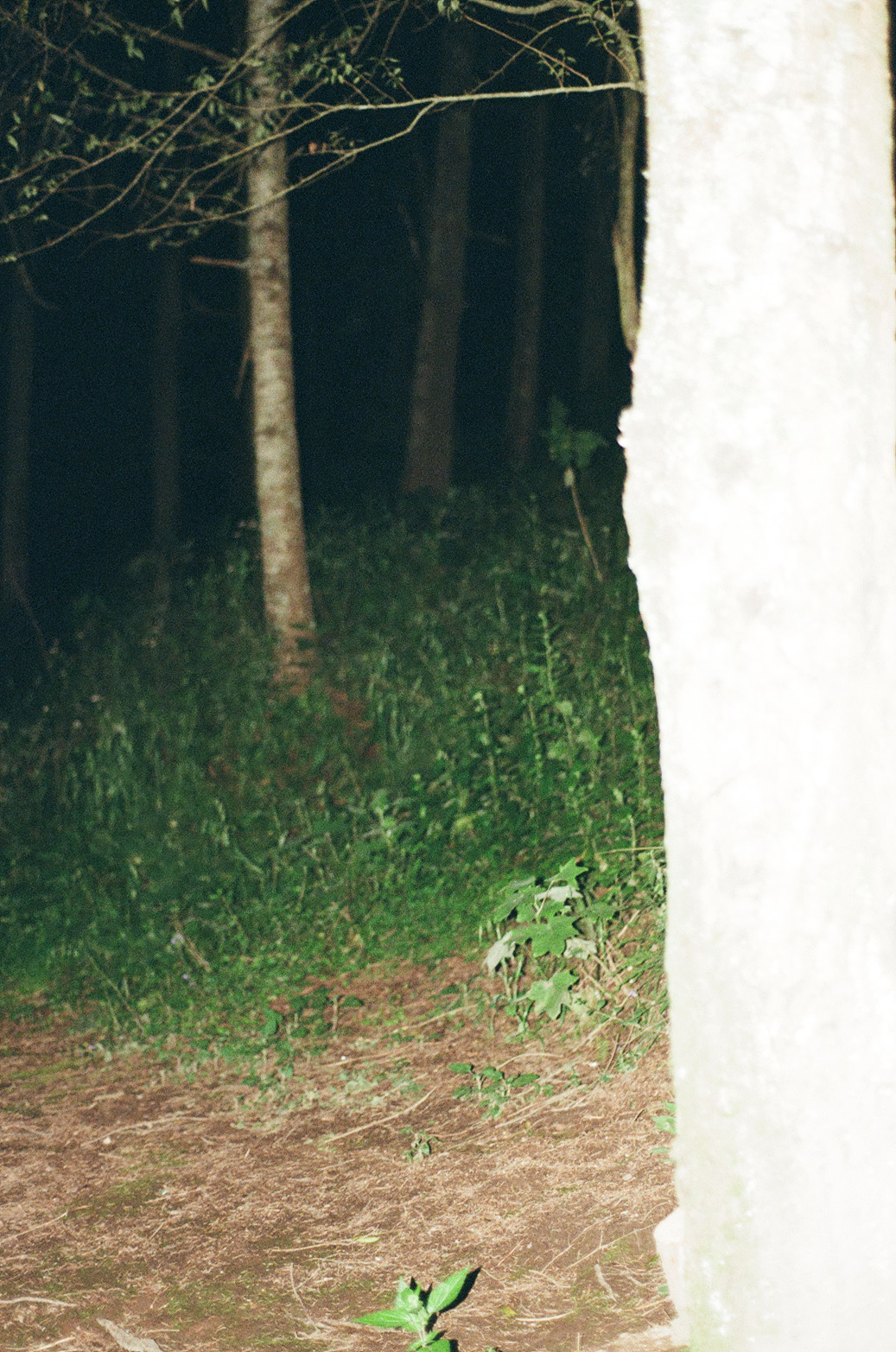 Prismas Photo 13