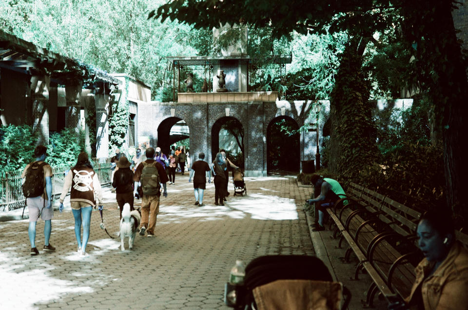 New York Photo 10